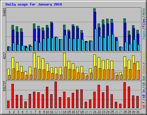 Daily usage for January 2019