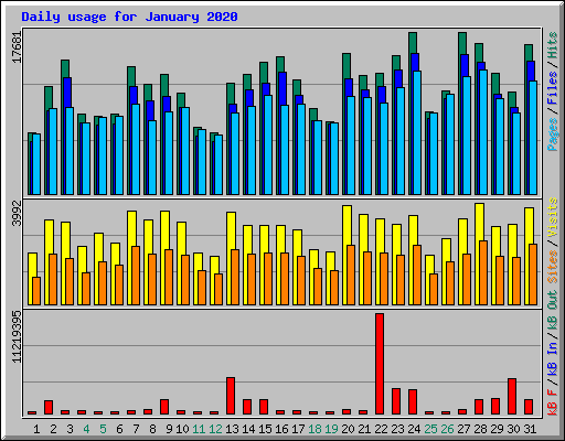 Daily usage for January 2020