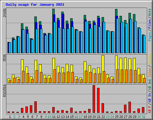 Daily usage for January 2021