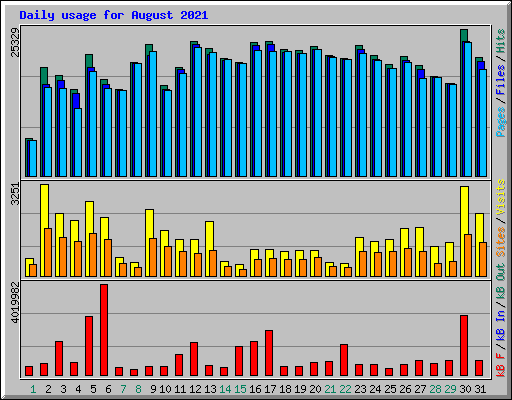 Daily usage for August 2021