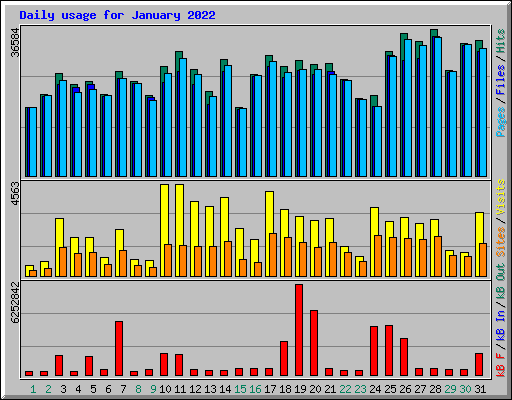 Daily usage for January 2022