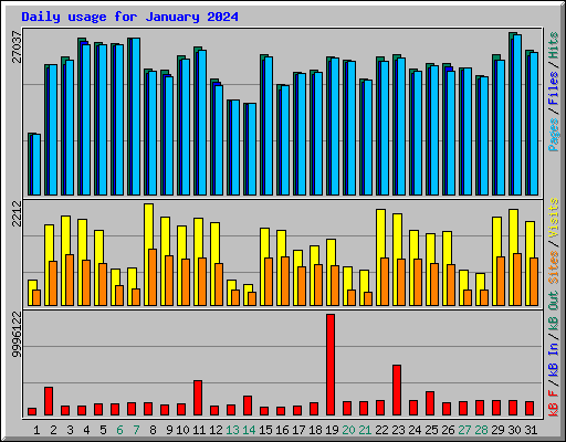 Daily usage for January 2024