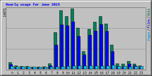 Hourly usage for June 2015