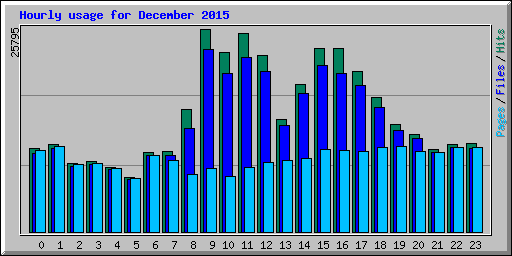 Hourly usage for December 2015