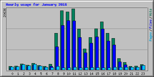 Hourly usage for January 2016