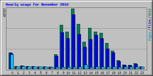 Hourly usage for November 2016