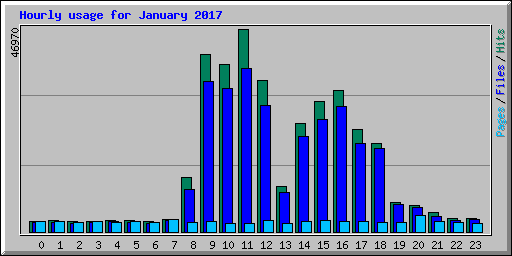 Hourly usage for January 2017