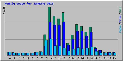 Hourly usage for January 2018