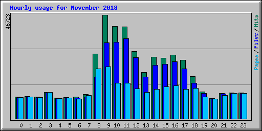 Hourly usage for November 2018