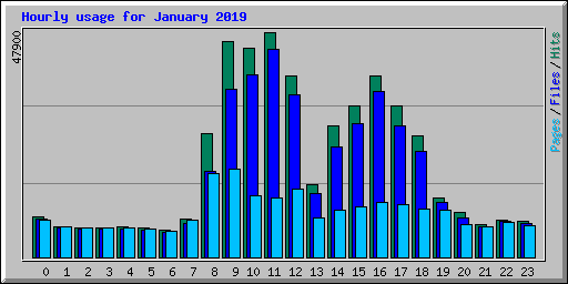 Hourly usage for January 2019