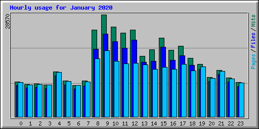 Hourly usage for January 2020