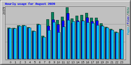 Hourly usage for August 2020