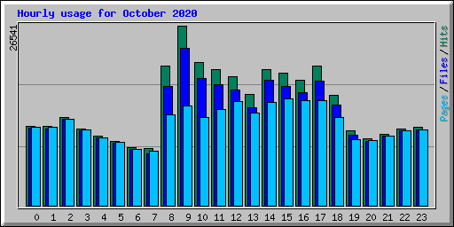 Hourly usage for October 2020