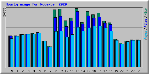 Hourly usage for November 2020