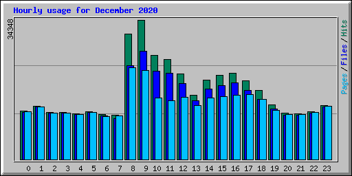 Hourly usage for December 2020