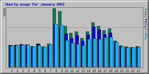 Hourly usage for January 2021