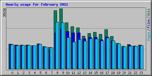 Hourly usage for February 2021