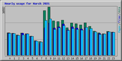 Hourly usage for March 2021