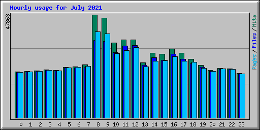 Hourly usage for July 2021