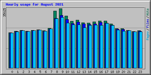 Hourly usage for August 2021