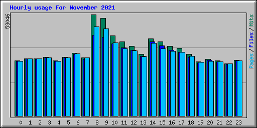 Hourly usage for November 2021