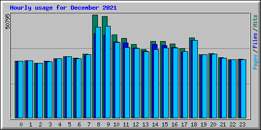 Hourly usage for December 2021