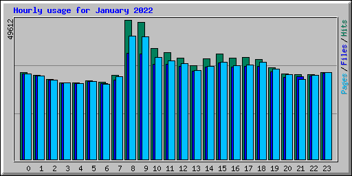 Hourly usage for January 2022