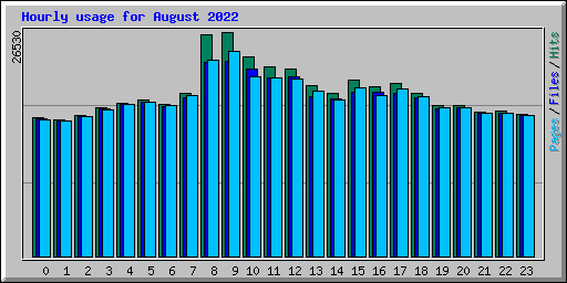 Hourly usage for August 2022