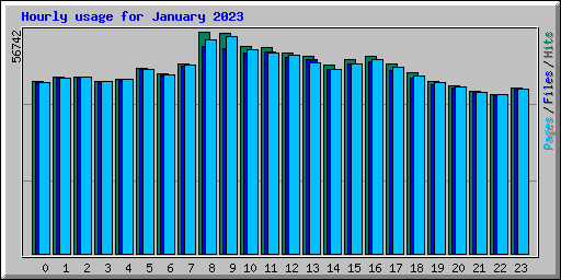 Hourly usage for January 2023