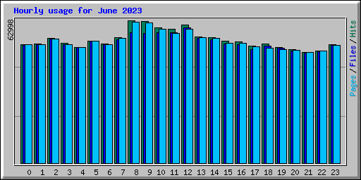 Hourly usage for June 2023