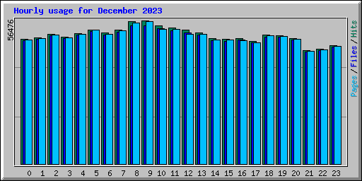 Hourly usage for December 2023