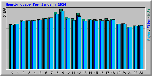 Hourly usage for January 2024