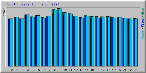 Hourly usage for March 2024