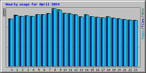 Hourly usage for April 2024