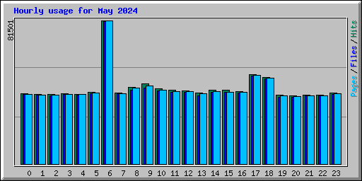 Hourly usage for May 2024