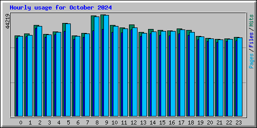 Hourly usage for October 2024