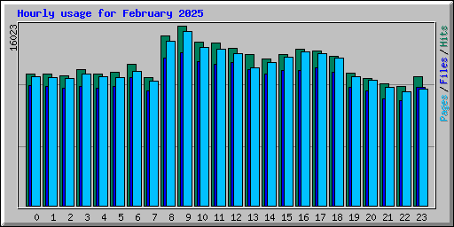 Hourly usage for February 2025