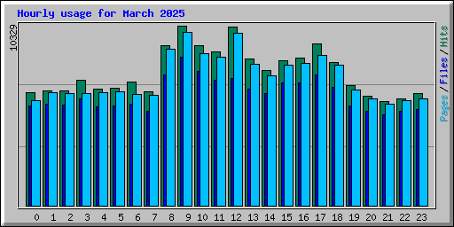 Hourly usage for March 2025