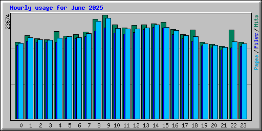 Hourly usage for June 2025