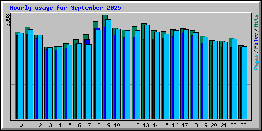 Hourly usage for September 2025