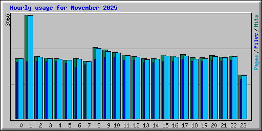 Hourly usage for November 2025
